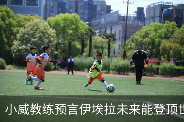 小威教练预言伊埃拉未来能登顶世界第一，但需要一次彻底的改造