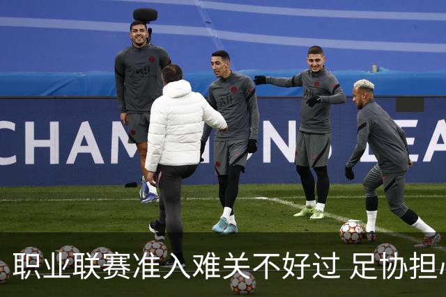职业联赛准入难关不好过 足协担心并不是多余